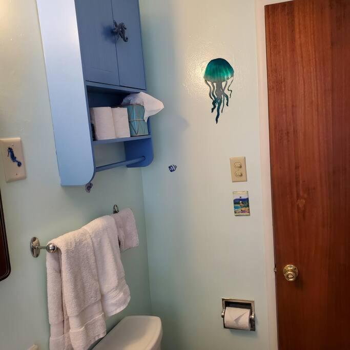 יוג'ין Sweet 2 Bedroom Close To U Of Oregon & Track! מראה חיצוני תמונה