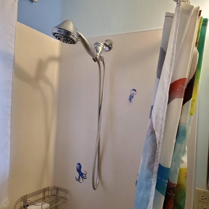 יוג'ין Sweet 2 Bedroom Close To U Of Oregon & Track! מראה חיצוני תמונה