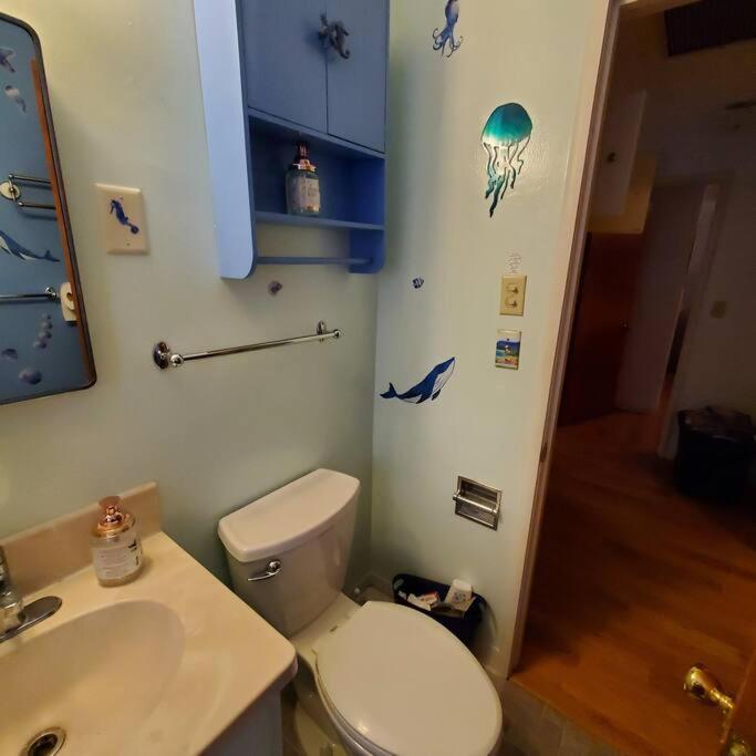 יוג'ין Sweet 2 Bedroom Close To U Of Oregon & Track! מראה חיצוני תמונה
